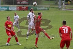 Kreisliga - Saison 2024/25- TSV Kösching - TSV Hohenwart - Sebastian Herker weiss Hohenwart - Johannes Tannwitz rot Kösching - Foto: Meyer Jürgen