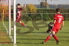 Kreisklasse - Saison 2022/2023 - SV Buxheim - SV Stammham - Der 0:3 Führungstreffer durch Simon Renn rot Stammham - jubel - Karsten Hiesch Torwart Buxheim - Foto: Meyer Jürgen