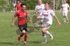 A-Klasse - Saison 2023/24 - FC Hepberg - TV 1861 Ingolstadt - Marcel Schmidt 1881 Ing. rot - Florian Kury weiss Hepberg - Foto: Meyer Jürgen