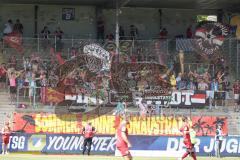 3. Liga - Saison 2025/26 - TSG Hoffenheim II - FC Ingolstadt 04  - Mitgereiste Fans - XXXXX - Foto: Meyer Jürgen