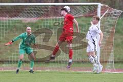 Kreisliga - Saison 2025/26- SV Zuchering - FC Mindelstetten - Jan Schimmack rot Zuchering - Fabian Sangl TW Mindelstetten - Lukas Gaul weiß Mindelstetten  - Foto: Meyer Jürgen