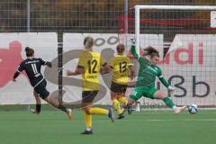 2023_11_12 - 2. Bundesliga - Saison 2023/24 - FC Ingolstadt 04 Frauen - SV 67 Weinberg - Paula Vidovic (Nr.11 - FCI Frauen) - Glaser Franziska Torwart Weinberg - Foto: Meyer Jürgen