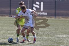 U17 DFB-Nachwuchsliga - Saison 2024/25 - FC Ingolstadt 04 - TSG Hoffenheim - Alexander Meyer weiss FCI - Maximilian Theuer gelb Hoffenheim - Foto: Meyer Jürgen