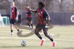 U19 - Nachwuchsliga -  - Saison 2024/25 - FC Ingolstadt 04 - 1. FC Schweinfurth - Gedeon Ambrosio rot FCI - XXXXX - Foto: Meyer Jürgen