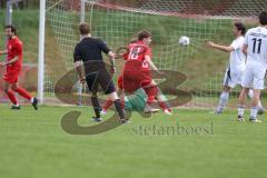 Kreisliga - Saison 2025/26- SV Zuchering - FC Mindelstetten - Der 1:1 Ausgleichstreffer durch Nico Ziegler rot Zuchering  - Fabian Sangl TW Mindelstetten - jubel -  - Foto: Meyer Jürgen