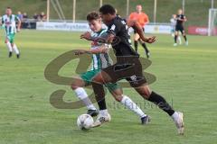 Toto Pokal - Saison 2022/2023 - SV Schalding-Heining - FC Ingolstadt 04 - Patrick Schmidt (Nr.9 - FCI) - Foto: Meyer Jürgen