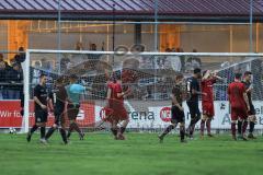Toto Pokal; FC Sportfreunde Schwaig - FC Ingolstadt 04; Schiedsrichter gibt Elfmeter