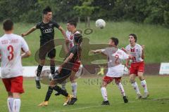 Relegation 2 - U17 - SSV Jahn Regensburg - FC Ingolstadt 04 - Davide Sekulovic (7 FCI) Benjamin Causevic (10 FCI) Luis Baierl (2 SSV)