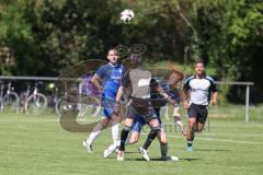 Kreisliga - Saison 2024/25- SV Menning - TSV Ober/Unterhaunstadt-  - Fardin Gholami grau Ober/Haunstadt - Moritz Faigle blau Menning - Foto: Meyer Jürgen