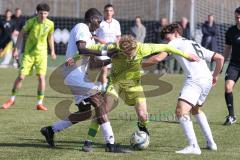 U17 DFB-Nachwuchsliga - Saison 2024/25 - FC Ingolstadt 04 - TSG Hoffenheim - Omotolani Oladusu weiss FCI links - Zain Biazad gelb Hoffenheim - Maximilian Wagner weiss FCI - Foto: Meyer Jürgen