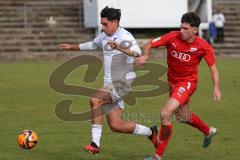 2023_10_21 - Saison 2023/24 - A-Junioren - FC Ingolstadt 04 - TSG 1899 Hoffenheim - Erdal izzet weiss Hoffenheim - Draculic Ognjen rot FCI - Foto: Meyer Jürgen