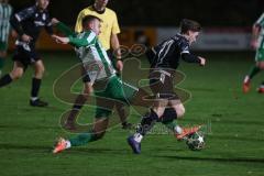Landesliga - Saison 2025/26 - SV Manching - FC Ehekirchen - Dzenis Seferovic (Nr.6 - SV Manching) - Jakob Schaller schwarz Ehekirchen - Foto: Meyer Jürgen