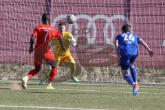 Bayernliga Süd - Saison 2022/2023 - FC Ingolstadt 04 - FC Deisenhofen -Der 1:0 Führungstreffer durch Mussa Fofanah (Nr.7 - FCI II) - Enrico Caruso Torwart Deisenhofen - Niklas Sagner blau Deisenhofen - jubel -  Foto: Meyer Jürgen