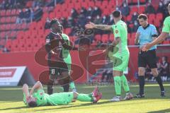 2.BL; FC Ingolstadt 04 - SV Sandhausen; Zweikampf Kampf um den Ball Hans Nunoo Sarpei (18 FCI) Bachmann Janik (26 SVS) gelb rote Karte für Hans Nunoo Sarpei (18 FCI)