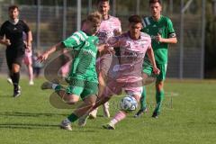 Bezirksliga - Saison 2025/26- TSV Gaimersheim - SVA Palzing - Nico von Swiontek Brzezinski (Nr.17 - TSV Gaimersheim) - Michael Tafelmaier grün Palzing  - Foto: Meyer Jürgen