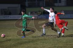 Landesliga - Saison 2024/25 - SV Manching - TSV Wertingen - Kemal Calik (Nr.2 - SV Manching) - Torwart Obermeier Thomas (Nr.1 - SV Manching) - Roman Große weiss Wertingen - Foto: Meyer Jürgen