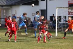 Kreisliga - Saison 2022/2023 - TSV Baar/Ebenhausen - SV Hundszell - Matthias Weinzierl #9 blau Hundszell - Markus Lindauer Torwart Ebenhausen - Foto: Meyer Jürgen