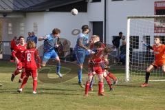 Kreisliga - Saison 2022/2023 - TSV Baar/Ebenhausen - SV Hundszell - Matthias Weinzierl #9 blau Hundszell - Markus Lindauer Torwart Ebenhausen - Foto: Meyer Jürgen