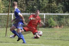 Kreisliga - Saison 2023/2024 - TSV Ober/Unterh.stadt- TSV Mümchsmünster - Simon Bellinghausen blau Oberhstadt - Michael Baumgartner Torwart M.Münster - Foto: Meyer Jürgen