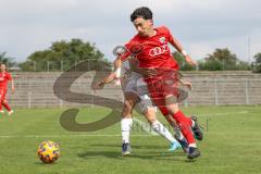 A-Junioren - Bundesliga Süd Fc Ingolstadt 04 - Eintracht Frabkfurt -  Sekulovic Davide #7 rot FCI - Foto: Meyer Jürgen