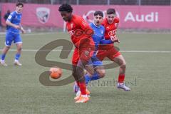 A-Junioren - Bundesliga Süd FC Ingolstadt 04 - TSG 1899 Hoffenheim - Emre Gül (Nr.15 - FCI A-Junioren) rot - Dagdeviren Diren  blau Hoffenheim - Michael Udebuluzor (Nr.9 - FCI A-Junioren) - Foto: Meyer Jürgen