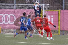 A-Junioren - Bundesliga Süd FC Ingolstadt 04 - TSG 1899 Hoffenheim - Luca Lechner (Nr.25 - FCI A-Junioren) - Blöndal Petersson Torwart Hoffenheim -  Foto: Meyer Jürgen