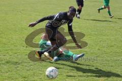 Fussball - Kreisliga - FC Grün Weiss Ingolstadt - FC Fatih Ingolstadt - Boubacarr Saho schwarz Fatih Ing - Kerim Durmus grün GW Ing. - Foto: Meyer Jürgen