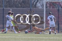 U17 DFB-Nachwuchsliga - Saison 2024/25 - FC Ingolstadt 04 - TSG Hoffenheim - San Carlos Lores Hernandes Torwart FCI - XXXXX - Foto: Meyer Jürgen