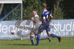 Kreisliga - Saison 2023/2024 - TSV Ober/Unterh.stadt- TSV Mümchsmünster - Simon Bellinghausen blau Oberh.stadt - Sebastian Hauber grau M. Münster - Foto: Meyer Jürgen