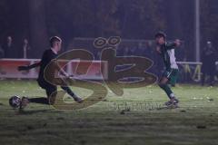 Landesliga - Saison 2025/26 - SV Manching - TSV Hollenbach - Der 2:0 Führungstreffer durch Leon Peric (Nr.20 - SV Manching) - jubel - Hartmann Florian Torwart Hollenbach - Foto: Meyer Jürgen