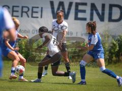 Testspiel - 2. Bundesliga Frauen - Saison 2026/27  - FC Ingolstadt 04 Frauen -  - Shatra Namutebi (Nr.25 - FCI Frauen) - Pia Munzert rechts blau Hoffenheim  - Foto: Meyer Jürgen