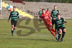 B-Junioren - Bayernliga -  Fc Ingolstadt 04 - SpVgg Greuther Fürth II -  Berg Baran rot FCI schiesst ein Tor - Jubel - Foto: Meyer Jürgen