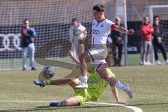 U17 DFB-Nachwuchsliga - Saison 2024/25 - FC Ingolstadt 04 - TSG Hoffenheim - Timo Hengmith weiss FCI - Tom Fiederer gelb Hoffenheim - Foto: Meyer Jürgen