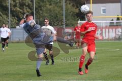 Bayernliga Nord - Saison 2023/2024 - FC Ingolstadt 04 - FC Coburg -Jeroen Krupa  (Nr.9 - FCI U21) - Luis Krempel
 Torwart Coburg - Foto: Meyer Jürgen