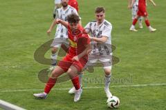 Kreisliga - Saison 2024/25- TSV Kösching - TSV Hohenwart - Mark Kocima rot Kösching - Andreas Widhopf weiss Hohenwart - Foto: Meyer Jürgen
