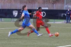 A - Junioren Bundesliga Süd/Südwest -  Saison 2021/2022 - FC Ingolstadt 04 - Heidenheim - Der 2:1 Führungstreffer durch Udebuluzor Michael (#21 FCI) - Jubel - Spahiu Rigon blau Heidenheim - Foto: Meyer Jürgen