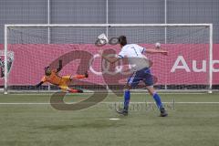 AUDI - Schanzer Amateur Cup 2023 - Finale - TSV Hohenwart - FC Mindelstetten - 5:3 - Alexander Schoberer weiss Mindelstetten - Maximilian Ziegler Torwart Hohenwart -  Foto: Meyer Jürgen