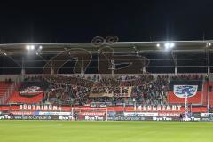 3. Liga; FC Ingolstadt 04 - Hallescher FC; Fan Fankurve Banner Fahnen Spruchband, Katar Boykott
