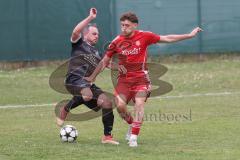 Kreisklasse - Saison 2024/25- Türkisch SV Ingolstadt - FC Gelbelsee-  - Enis Kuqanaj rot Türkisch  - Manfred Schmidt schwarz Gelbelsee - Foto: Meyer Jürgen