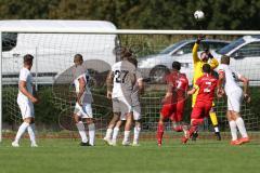 Bezirksliga - Saison 2023/2024 - TSV Gaimersheim - BC Attaching  - Torwart Benedikt Leixner  (Nr.1 - Gaimersheim) - Foto: Meyer Jürgen