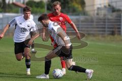 Bayernliga Nord - Saison 2023/2024 - FC Ingolstadt 04 - FC Coburg - Fabio Riedl (Nr.24 - FCI U21) - Ricardo König weiss Coburg - Foto: Meyer Jürgen