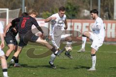 Bayernliga Nord - Saison 2025/26 - FC Ingolstadt 04 II - SpVgg Bayern Hof - Patrick Bachmann (Nr.8 - FC Ingolstadt II) - Niklas Stadelmann weiss Bayern Hof  - Foto: Meyer Jürgen