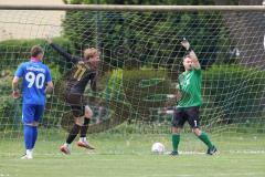 Kreisklasse - Saison 2025/26- TSV Großmehring - ST Scheyern - Der 0:1 Führungstreffer durch Leon Huber schwarz Scheyern - jubel -  - Maximilian Förstl TW Großmehring - Foto: Meyer Jürgen