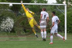 Bezirksliga - Saison 2023/24 - TSV Gaimersheim - SpVgg Kammerberg - Benedikt Leixner Torwart Gaimersheim - XXXXX - Foto: Meyer Jürgen