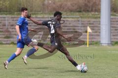 Bayernliga Nord - Saison 2024/25 - FC Ingolstadt 04 II - Würzburger FV 04 - Jason Osei Tutu (Nr.11 - FCI U21) - XXXXX - Foto: Meyer Jürgen