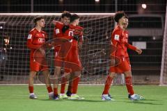 2024_2_7 - A-Junioren Bundesliga  - Saison 2023/24 - A-Junioren - FC Ingolstadt 04 - SpVgg Greuther Fürth -  Der 3:0 Führungstreffer durch - Luka Klanac (Nr.9 - FC Ingolstadt 04 A-Jugend) - jubel - Mustafa Özden (Nr.3 - FC Ingolstadt 04 A-Jugend) -  Foto: