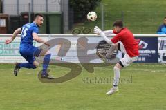 Kreisklasse - Saison 2024/25- TSV Großmehring - FC Geisenfeld - Sebastian Eisenberger blau Großmehring  - Benedikt Köhler Torwart Geisenfeld - Foto: Meyer Jürgen