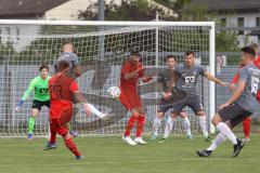 Bayernliga Süd - Saison 2021/2022 - FC Ingolstadt 04 II - VfB Hallbergmoos - Götzendörfer Mario (#23 FCI) - Foto: Meyer Jürgen