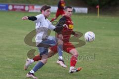 2023_11_5 - SV Kasing - TV Münchsmünster - Kreisliga - Saison 2023/24 -  Patrick Rzepka rot Kasing - Tobias Schmid grau Münchsmünster - Foto: Meyer Jürgen