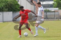 Bayernliga Nord - Saison 2023/24 - FC Ingolstadt 04 II - TSV Abtswind - Michael Udebuluzor (Nr.11 - FCI) - Wolf Max weiss Abtswind - Foto: Meyer Jürgen